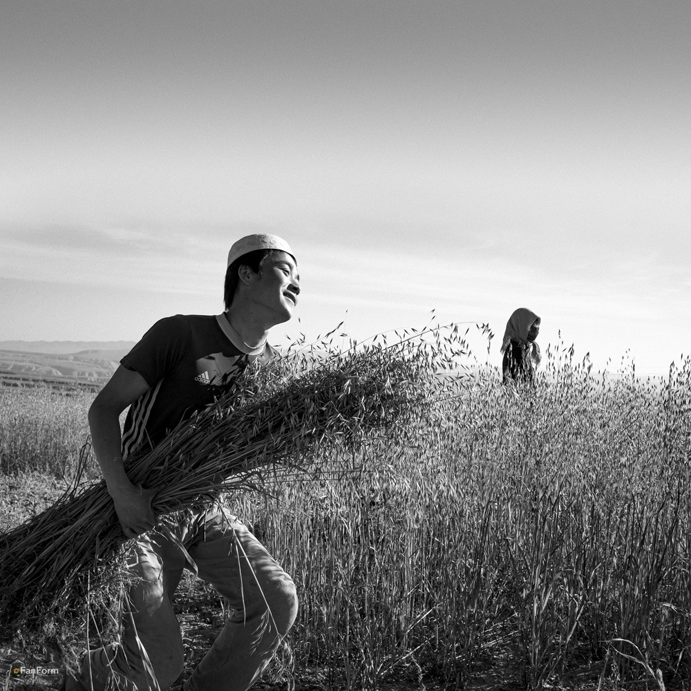 Muslims of Arid Soil by Li Fan Ⅰ