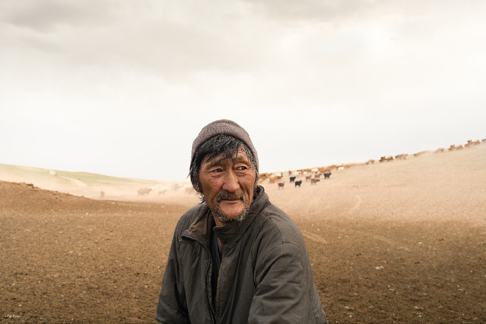 Desertified Mongolian Grasslands
