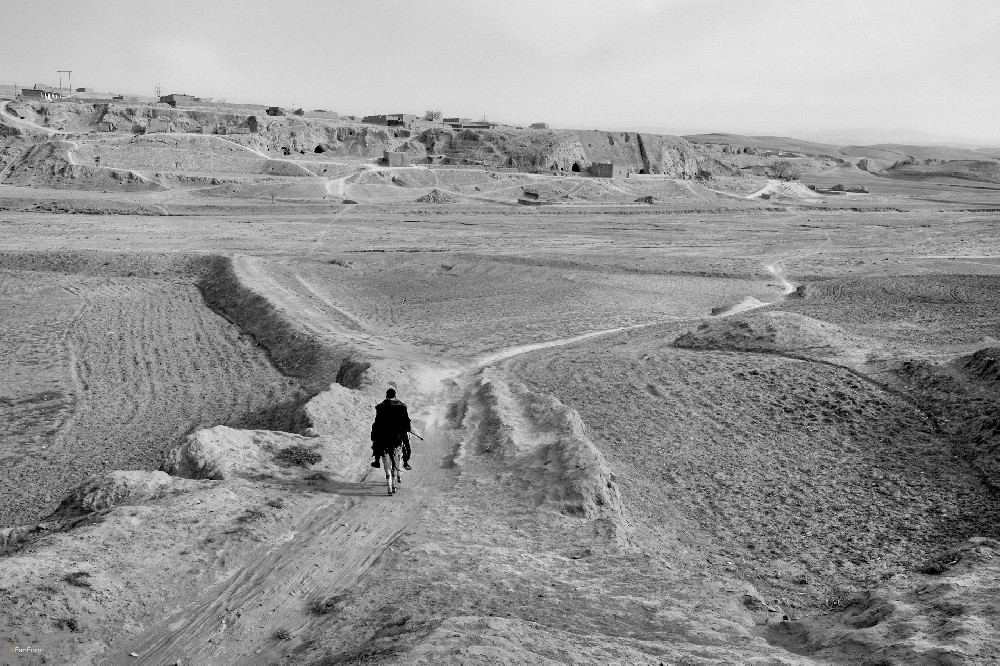 L1001368.jpg